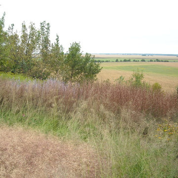 Planned Prairie