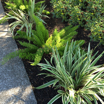 Plant Combinations - Northern California Gardens