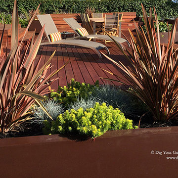 Plant Combinations - Northern California Gardens