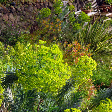 Plant Combinations - Northern California Gardens