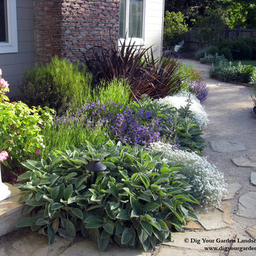 Plant Combinations - Northern California Gardens