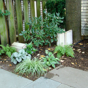 Plant Lover's City Garden