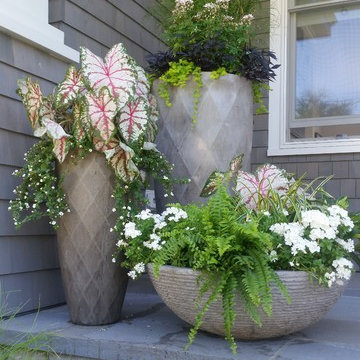 Planters & WIndow Boxes