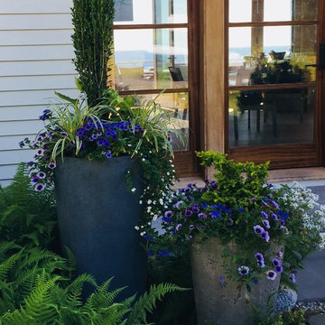 Planters & WIndow Boxes