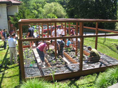 トラディショナル 庭 Planting Day in a Community Garden