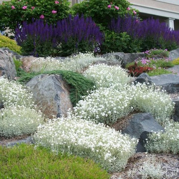 Planting Design and Plant Combinations