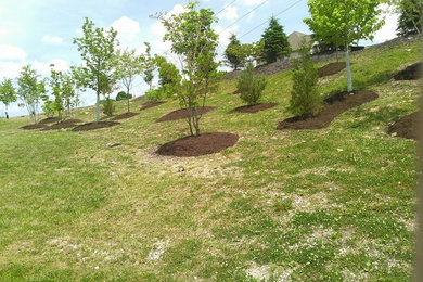 This is an example of a landscaping in Other.