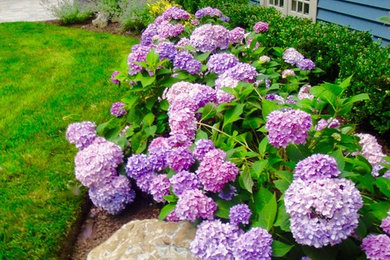 Ejemplo de jardín clásico renovado grande en primavera en patio trasero con exposición total al sol y adoquines de hormigón