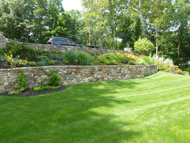 Landscape - Traditional Landscape