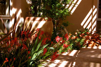 This is an example of a mediterranean landscaping in Sacramento.