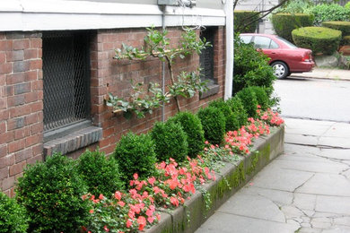 Imagen de jardín clásico de tamaño medio en patio lateral con exposición parcial al sol y adoquines de hormigón