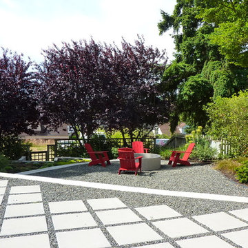Plum Tree Backyard