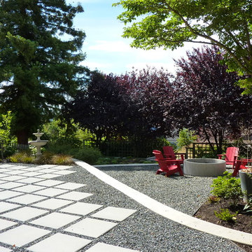 Plum Tree Backyard