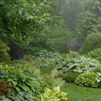 Photo of a traditional shade backyard garden path in Portland Maine.