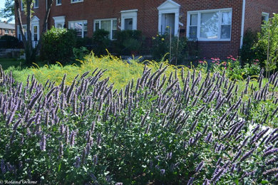 Pollinator & Vegetable Garden in Towson, MD