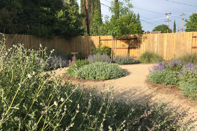 This is an example of a mid-sized contemporary drought-tolerant and full sun backyard gravel landscaping in Other.