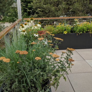 Pollinator Garden and Green Roof