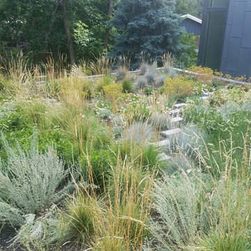 Pollinator Garden and Green Roof