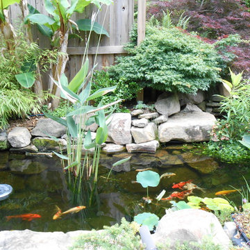 Pond and outdoor kitchen