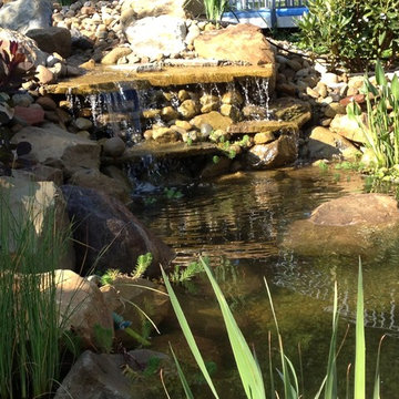 Pond and Waterfall