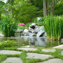 Outdoor Spaces: Ponds, Streams, and Naturalized Water Features