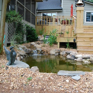 Pond Project