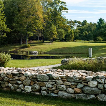 Pond View