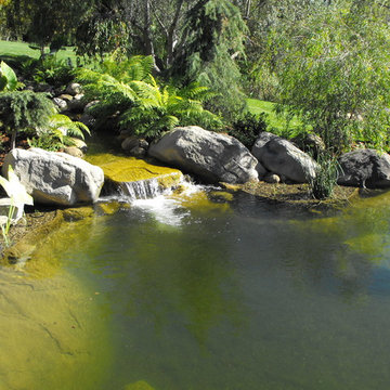 Pond Waterfall