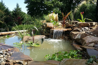 Imagen de jardín clásico de tamaño medio en patio trasero con estanque, exposición parcial al sol y adoquines de hormigón