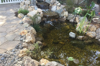 Pond with Hardscape in Orange County
