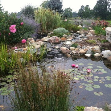 Pond with Natural Wetland Filtration System
