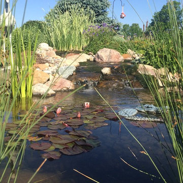 Pond with Natural Wetland Filtration System