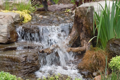 Inspiration for a rustic garden for summer in Baltimore with a water feature.