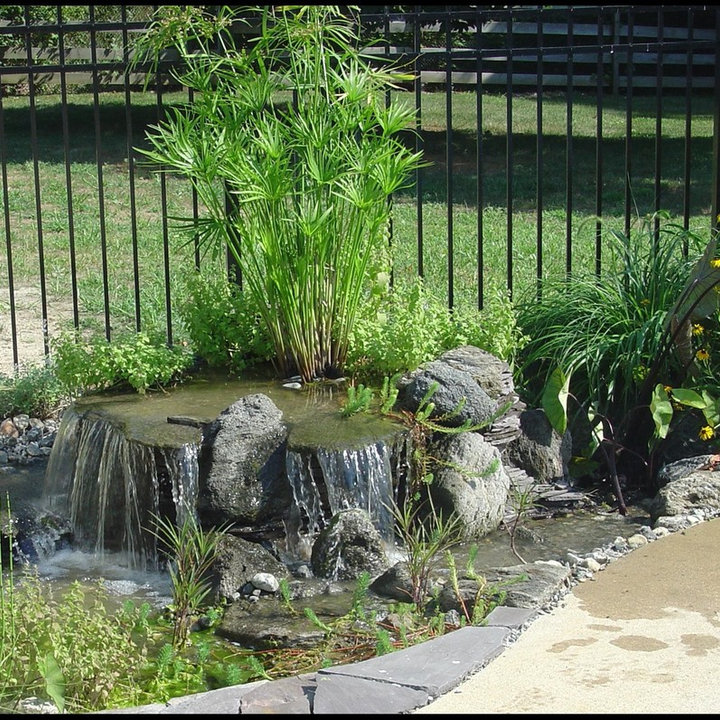 Pondless Waterfall - Photos & Ideas | Houzz