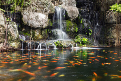 Inspiration pour un jardin asiatique.