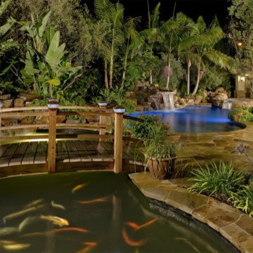 PONDS & WATER FEATURES