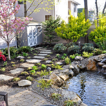 Ponds & Waterfalls