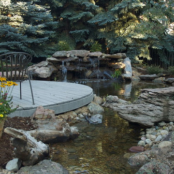 Ponds and waterfalls