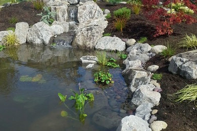 Cette image montre un jardin arrière chalet de taille moyenne avec un point d'eau.