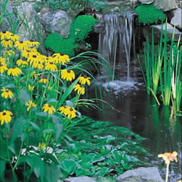 Ponds, Waterfalls & Water Features