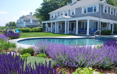 Garden Color: How to Landscape With Purple