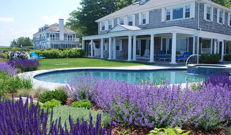 Garden Color: How to Landscape With Purple