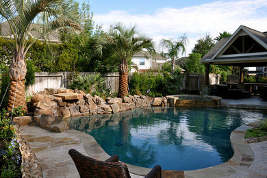 Diseño de piscina exótica en patio trasero