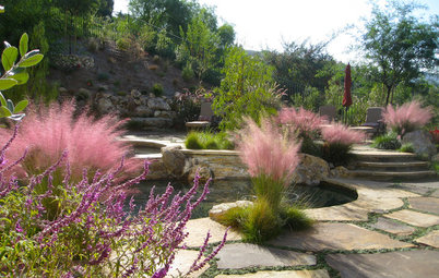 10 Ways to Use Ornamental Grasses in the Landscape