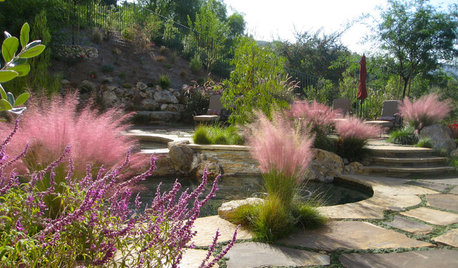 10 Ways to Use Ornamental Grasses in the Landscape