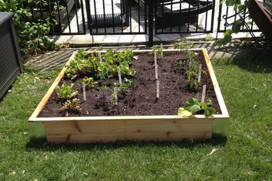 Pool Side Edible Garden