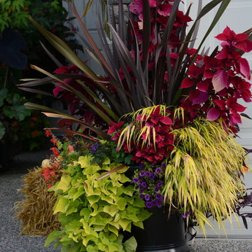 Poolside Garden and Containers