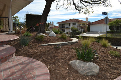 ロサンゼルスにあるトランジショナルスタイルのおしゃれな庭の写真