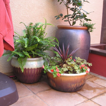 Southwestern courtyard pots