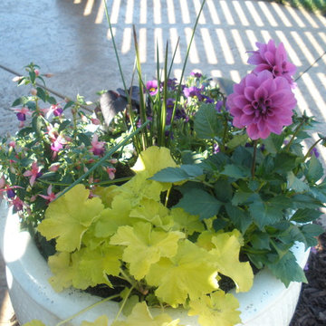 Farmhouse plantings in a white pot